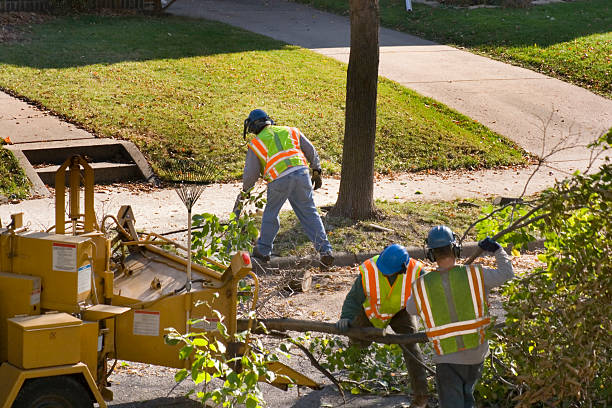 Best Lawn Watering Services  in USA